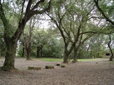 Enlarge photo 43