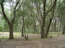 Enlarge photo 44