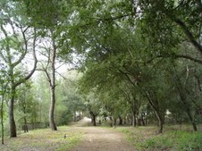 Enlarge photo 45
