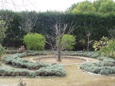Enlarge photo 46