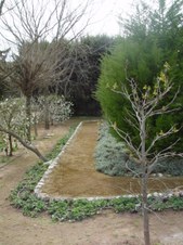 Enlarge photo 47
