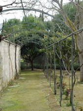 Enlarge photo 49