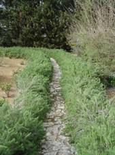 Enlarge photo 52