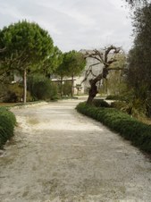 Enlarge photo 53