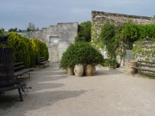 Enlarge photo 55