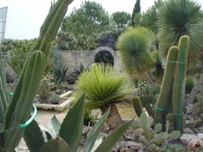 Enlarge photo 58