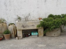 Enlarge photo 59