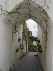 Enlarge photo 61