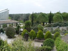 Enlarge photo 62