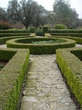 Enlarge photo 64