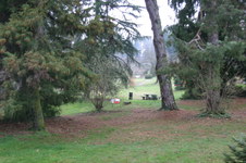 Enlarge photo 13