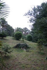 Enlarge photo 14