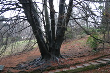 Enlarge photo 17
