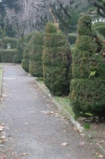 Enlarge photo 21