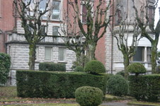 Enlarge photo 22