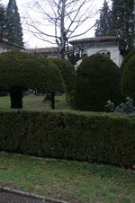 Enlarge photo 27