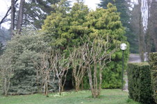 Enlarge photo 29