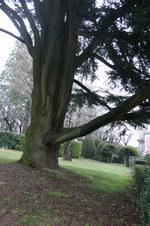 Enlarge photo 30