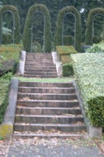 Enlarge photo 33