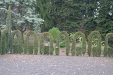 Enlarge photo 35