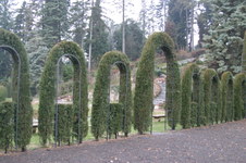 Enlarge photo 36