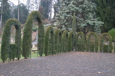 Enlarge photo 37