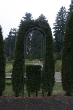 Enlarge photo 38