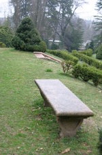 Enlarge photo 39