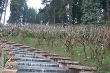 Enlarge photo 43