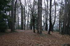 Enlarge photo 52