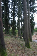 Enlarge photo 54