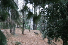 Enlarge photo 55