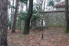 Enlarge photo 57
