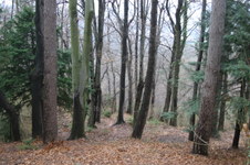 Enlarge photo 58