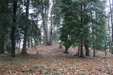 Enlarge photo 60