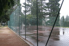 Enlarge photo 62