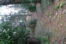 Enlarge photo 63