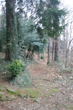 Enlarge photo 64