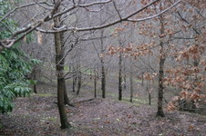 Enlarge photo 65