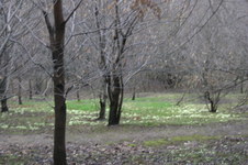 Enlarge photo 66