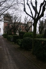 Enlarge photo 67