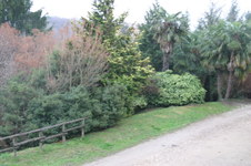 Enlarge photo 70