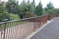 Enlarge photo 71