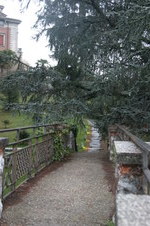 Enlarge photo 74