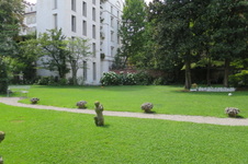 Enlarge photo 34