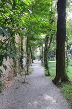 Enlarge photo 37