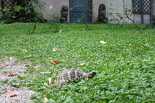 Enlarge photo 39