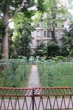 Enlarge photo 40