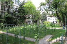 Enlarge photo 41