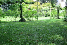 Enlarge photo 49